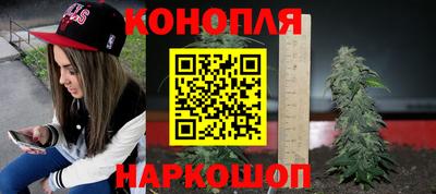 тгк Заводоуковск