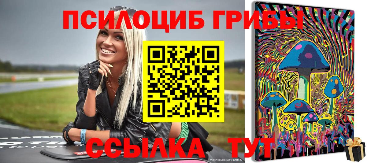 Псилоцибиновые грибы Psilocybine cubensis Михайловск