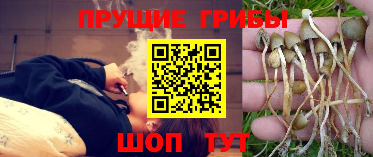 Псилоцибиновые грибы Magic Shrooms  Псилоцибиновые грибы мицелий  Вход с VPN  Михайловск 
